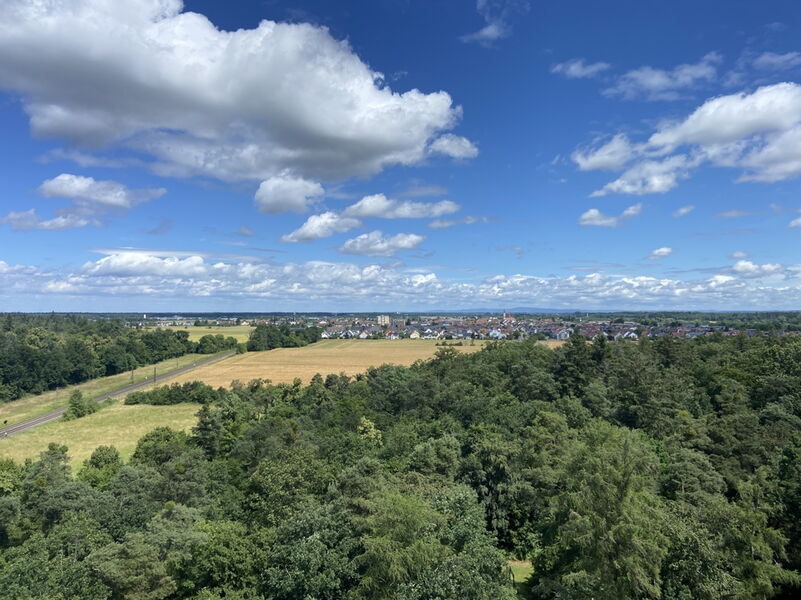 Aussicht_Balkon_Bild_1