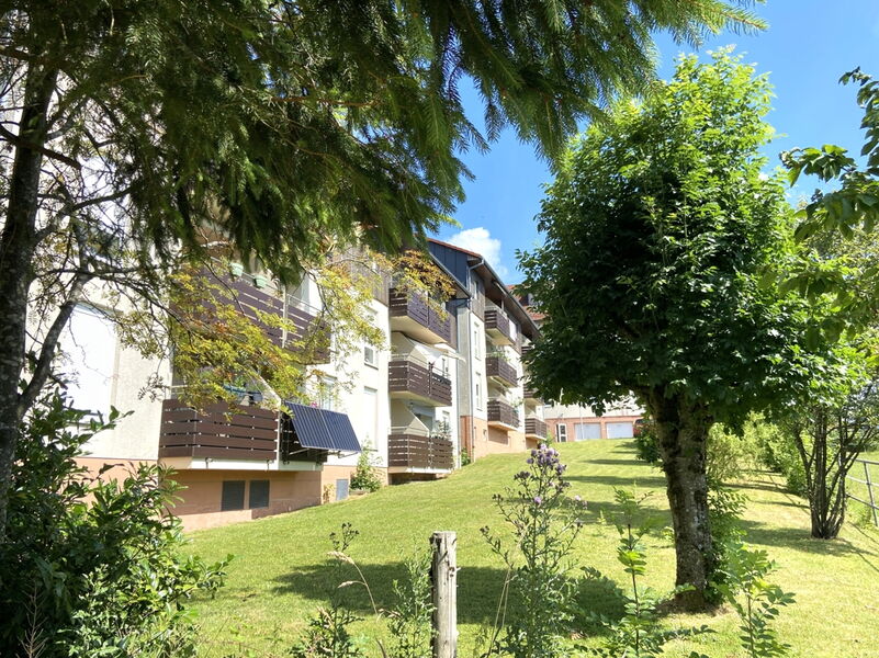 Ansicht_Garten